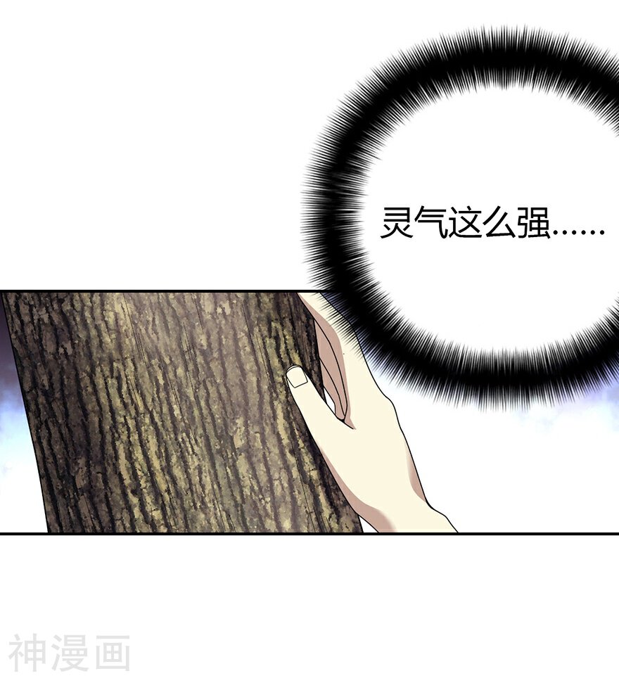 神藏韩漫全集-第47话 赌树1无删减无遮挡章节图片 